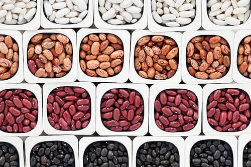 خرید عمده انواع لوبیا